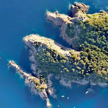 Providencia 1 - Shipyard And Yacht Crews *